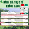Combo Chuyên Dưỡng Lá Xanh Dày, Đen Bóng – GEGA AMINO RONG BIỂN+ZINMAG Magie Kẽm, Cây Khỏe Đẹp (Pha 2 Phuy)