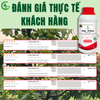 [Combo 5 Tặng 1] GEGA - ZINMAG - (Magiê-Kẽm) Giúp Bộ Lá Dày, Xanh Đen - Mập Chồi, Đọt Phát Triển Như Ý, Biến Vàng Thành Xanh