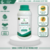 Combo Dưỡng Đọt – Nuôi Lá GEGA 33-11-11 & Amino Combi Giúp Cây Bung Đọt Khỏe, Dưỡng Lá Xanh Dày
