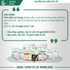 [COMBO 5 TẶNG 1] Mua 5 Phân bón hữu cơ AMINO COMBI RONG BIỂN GEGA Tặng 1 Gói F-intake 1kg phân bón lá dưỡng cây toàn diện cho mọi loại cây trồng