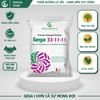 Combo Dưỡng Đọt – Nuôi Lá GEGA 33-11-11 & Amino Combi Giúp Cây Bung Đọt Khỏe, Dưỡng Lá Xanh Dày