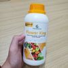 2 Chai Phân Bón Dưỡng Hoa Tăng Đậu Trái GEGA FLOWER KING 500ml (Chuyên Rau Màu) – Mập Nụ, Chống Rụng