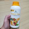 Phân Bón Dưỡng Hoa Tăng Đậu Trái GEGA FLOWER KING 500ml (Chuyên Rau Màu) – Mập Nụ, Chống Rụng
