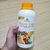 3 Chai Phân Bón Dưỡng Hoa Tăng Đậu Trái GEGA FLOWER KING 500ml (Chuyên Rau Màu) – Mập Nụ, Chống Rụng