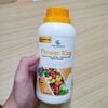 3 Chai Phân Bón Dưỡng Hoa Tăng Đậu Trái GEGA FLOWER KING 500ml (Chuyên Rau Màu) – Mập Nụ, Chống Rụng