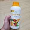 2 Chai Phân Bón Dưỡng Hoa Tăng Đậu Trái GEGA FLOWER KING 500ml (Chuyên Rau Màu) – Mập Nụ, Chống Rụng