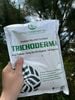 2 Gói TRICHODERMA - Cải Tạo Đất - Kháng Nấm - Ra Rễ Mạnh - Làm Phân Ủ Hữu Cơ