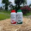 Combo Chuyên Dưỡng Lá Xanh Dày, Đen Bóng – GEGA AMINO RONG BIỂN+ZINMAG Magie Kẽm, Cây Khỏe Đẹp (Pha 2 Phuy)