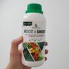 Phân Bón Lá Kích Rễ Kéo Đọt GEGA ROOT & SHOOT 500ml (Chuyên Rau Màu) – Mát Cây, Không Sốc