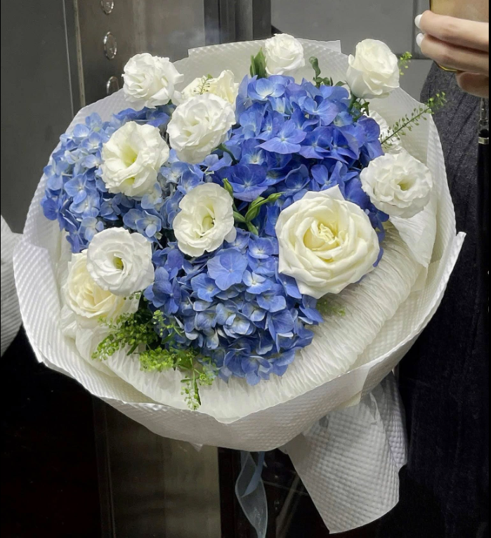  Bó Hoa Xinh Cẩm Tú Cầu Xanh Dương An Nhiên 