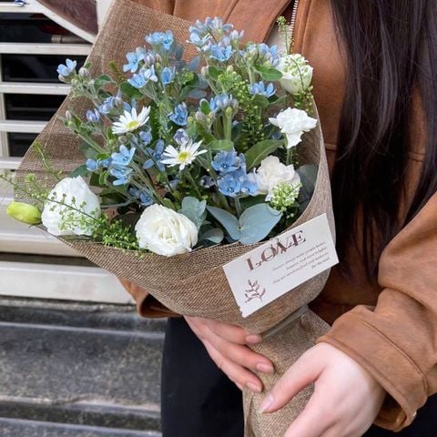  Bó Hoa Xinh Lam Tinh (hoa sao xanh) 