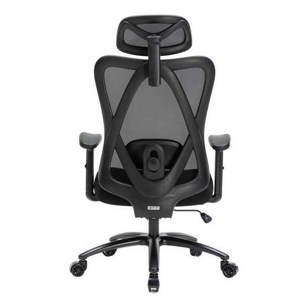 Ghế công thái học WARRIOR Hero series WEC501 Plus Black/Gray