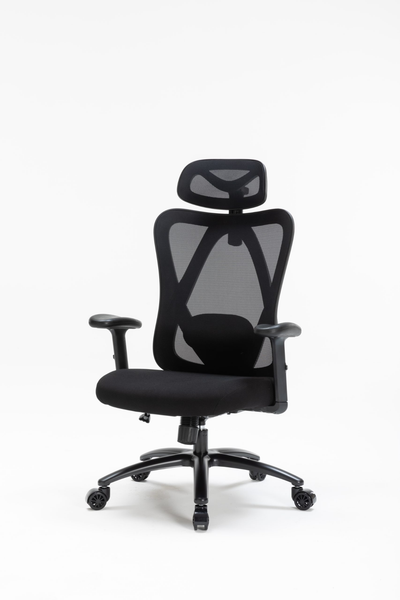 Ghế công thái học WARRIOR Hero series WEC501 Plus Black/Gray