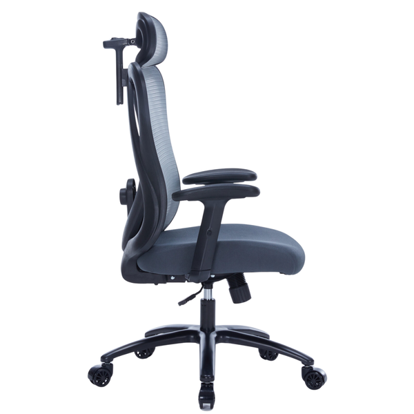 Ghế công thái học WARRIOR Hero series WEC501 Plus Black/Gray