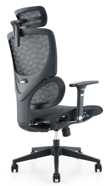 Ghế công thái học WARRIOR Ergonomic Marshal WEC 620