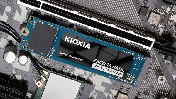 SSD Kioxia Exceria Basic 2TB NVMe PCIe Gen4 x4 R7300 W6800 LSF10Z002TG8