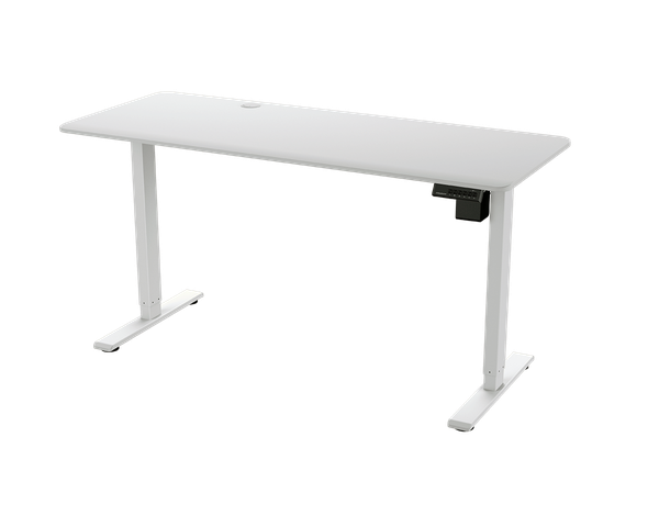 Bàn nâng hạ Cougar Royal Mossa 150 Electric Standing Desk