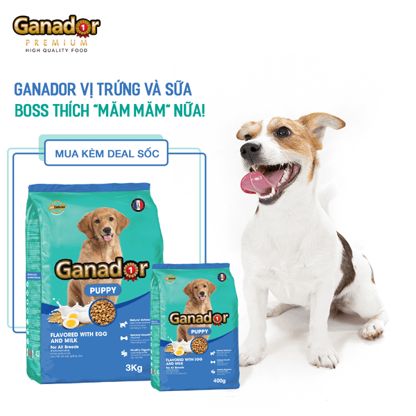 Ganador Hạt cho chó con vị trứng sữa
