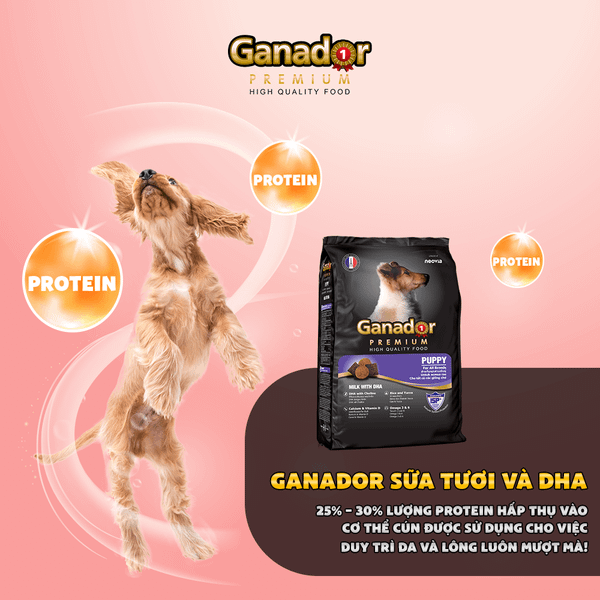 Ganador Hạt cho chó con vị sữa&DHA