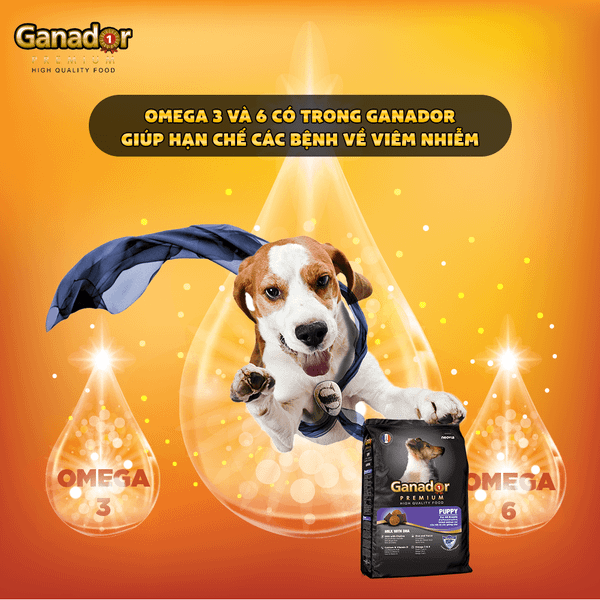 Ganador Hạt cho chó con vị sữa&DHA