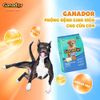 Ganador Hạt cho chó con vị trứng sữa