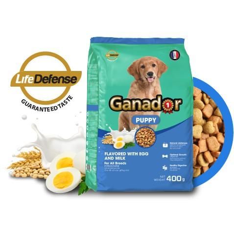 Ganador Hạt cho chó con vị trứng sữa