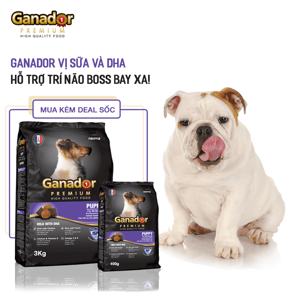 Ganador Hạt cho chó con vị sữa&DHA