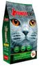 Power Cat - Hạt cho mèo nhiều vị 420~500g