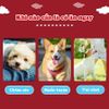 DoggyMan Que gặm hương bò 120g