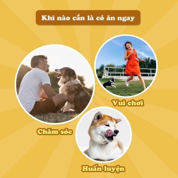 DoggyMan miếng gà sấy 90g