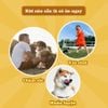 DoggyMan miếng gà sấy 90g