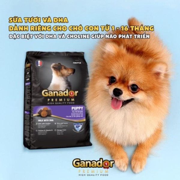 Ganador Hạt cho chó con vị sữa&DHA