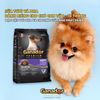 Ganador Hạt cho chó con vị sữa&DHA