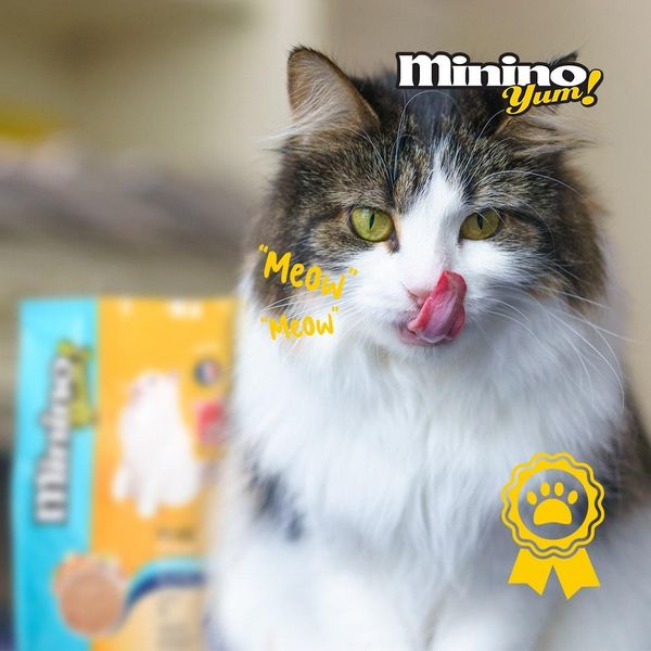 Minino Yum  Hạt cho mèo mọi lứa tuổi hải sản