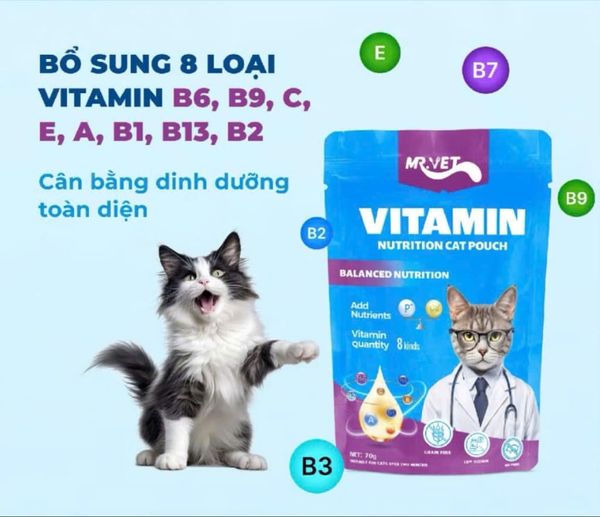 Mr.Vet - Pate nhiều vị cho mèo 70g