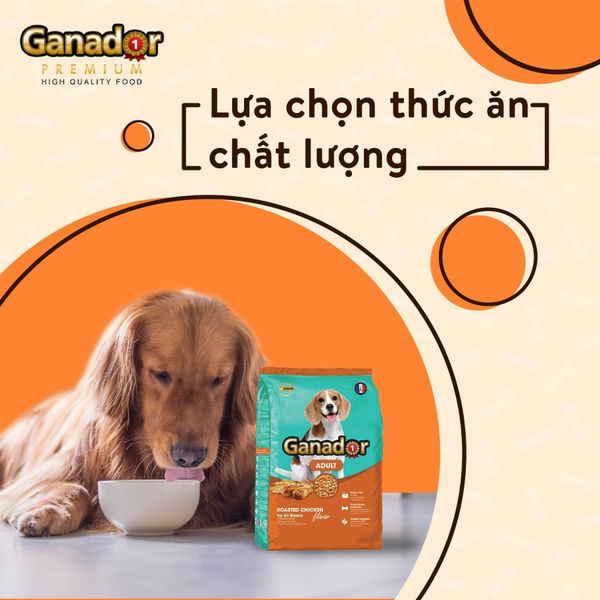 Ganador Hạt cho chó trưởng thành gà nướng