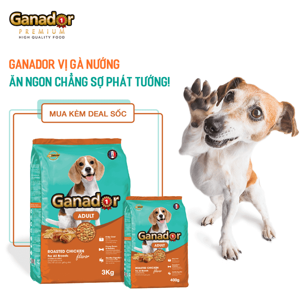 Ganador Hạt cho chó trưởng thành gà nướng