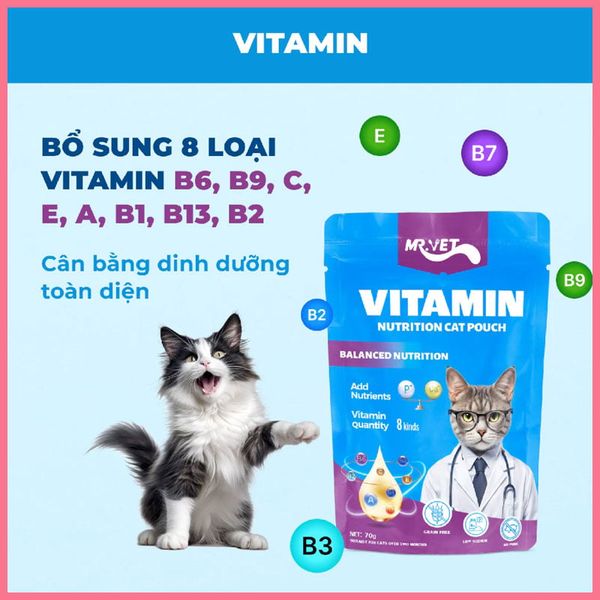 Pate Cho Mèo Mr Vet 70g