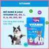 Pate Cho Mèo Mr Vet 70g