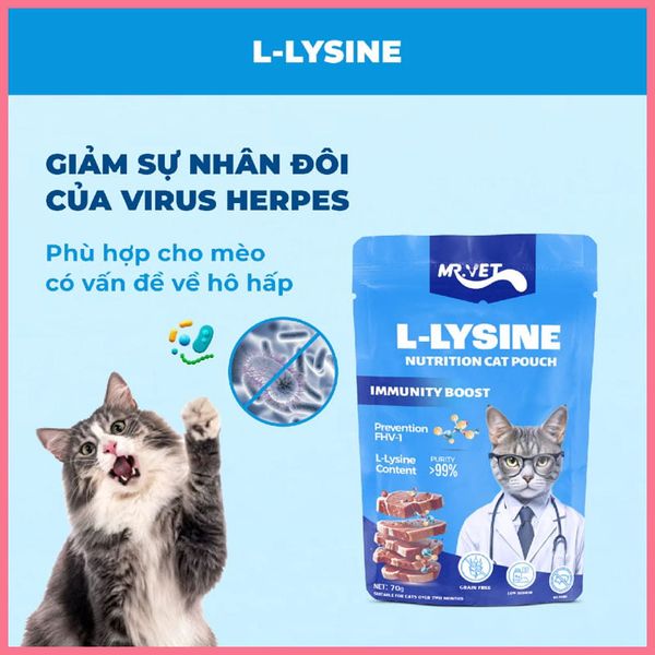 Pate Cho Mèo Mr Vet 70g