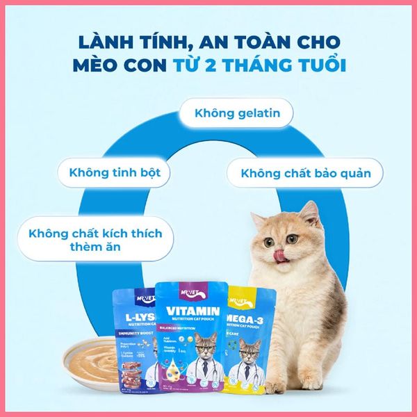 Pate Cho Mèo Mr Vet 70g