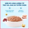 Pate Cho Mèo Mr Vet 70g