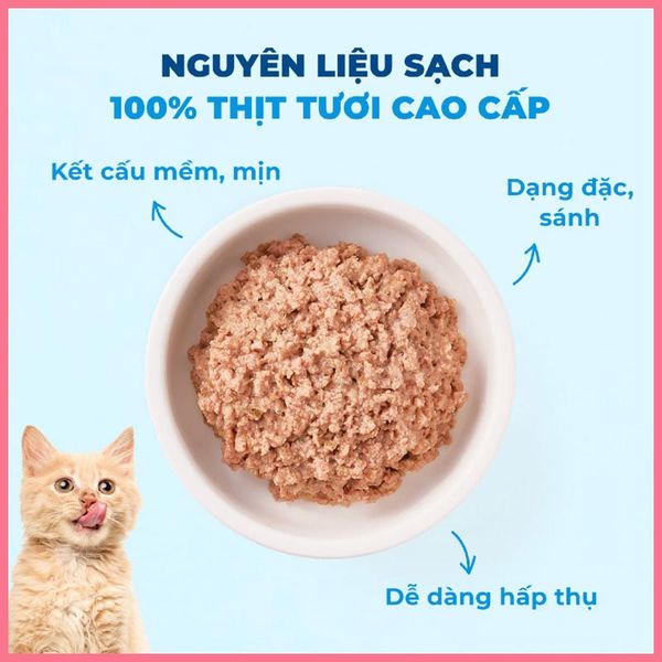 Pate Cho Mèo Mr Vet 70g