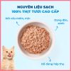 Pate Cho Mèo Mr Vet 70g