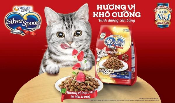 Silver Spoon Hạt mèo trưởng thành giảm nôn trớ 800g