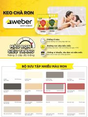 Keo Chà Ron - Weber - Webercolor Power PO111S