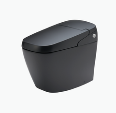 Bồn cầu thông minh -INAX- AC-G216VN/BKG