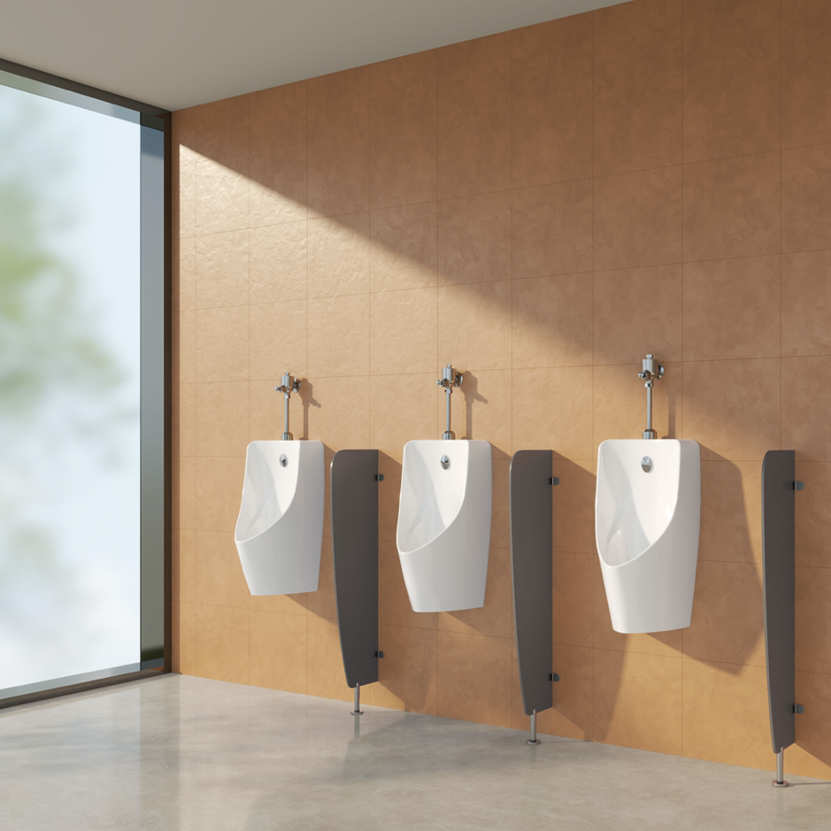 Tiểu Nam Treo Tường -Viglacera -T2