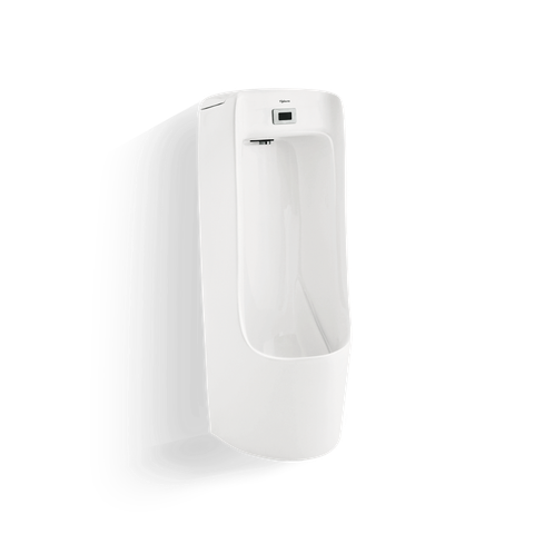 Tiểu Nam Đặt Sàn Cảm Ứng -VIGLACERA-TD4