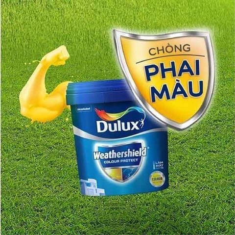 Dulux Weathershield Colour Protect – Bề Mặt Mờ